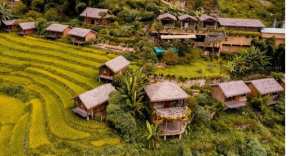 Гостиница Eco Palms House - Sapa Retreat  Сапа